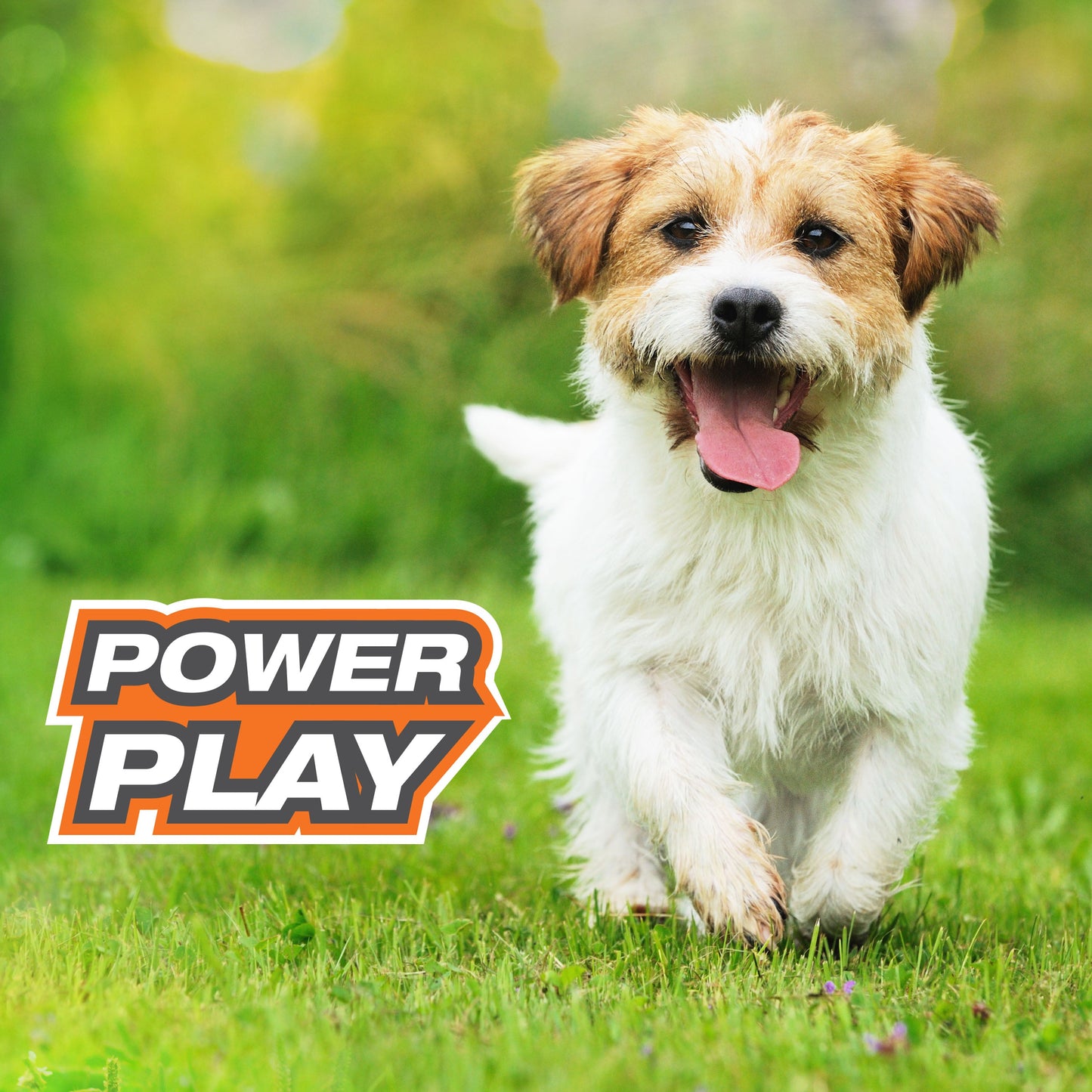 Nylabone Power Play Dog Tennis Ball Gripz 1ea for Small to Giant Dogs Up to 50 lbs