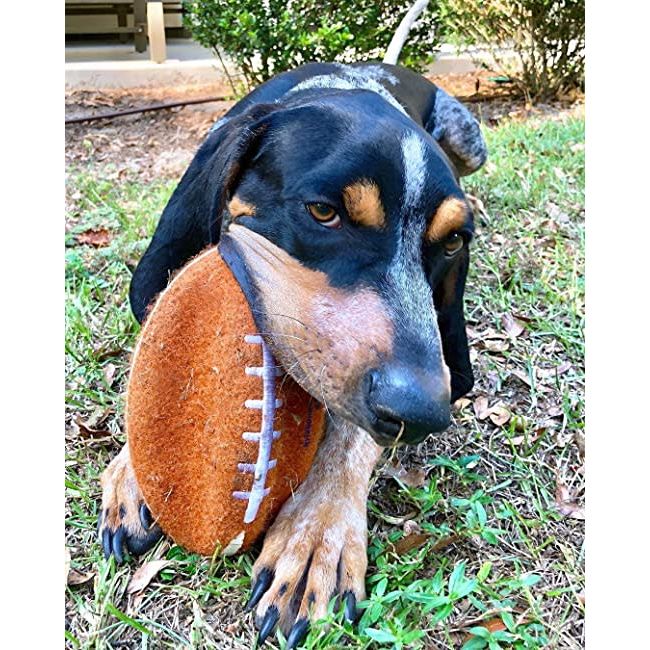 Nylabone Power Play Dog Football Gripz Durable Chew Toy for Medium and Large Dogs