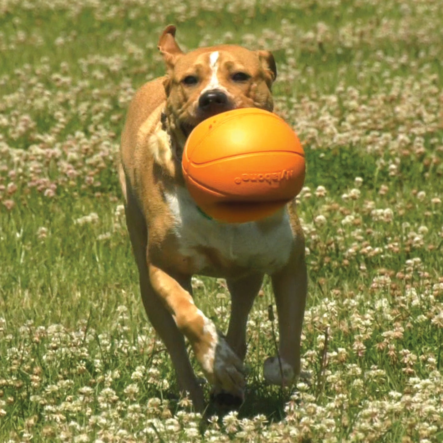 Nylabone Power Play Dog Basketball B-Ball Gripz Durable Chew Toy for Medium to Giant Dogs
