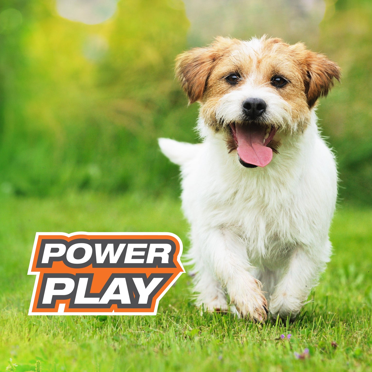 Nylabone Power Play Interactive Dog Toy Shake-a-Toss for Dogs Up to 50 lbs