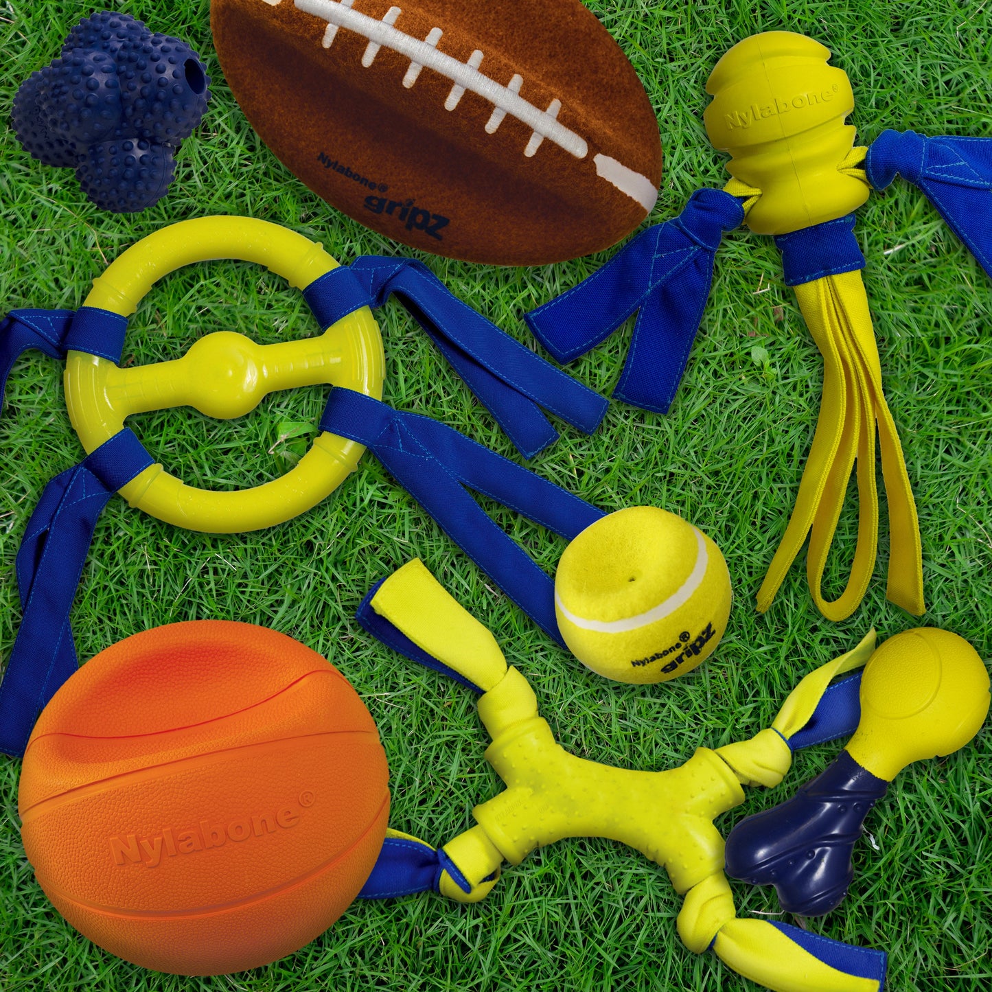 Nylabone Power Play Interactive Dog Toy Shake-a-Toss for Dogs Up to 50 lbs