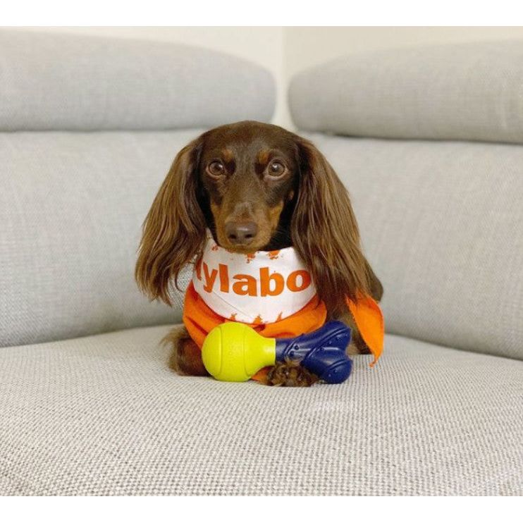 Nylabone Power Play Rubber Dog Toy Fetch-a-Bounce 1ea/SMall/Regular - Up To 25 Ibs.