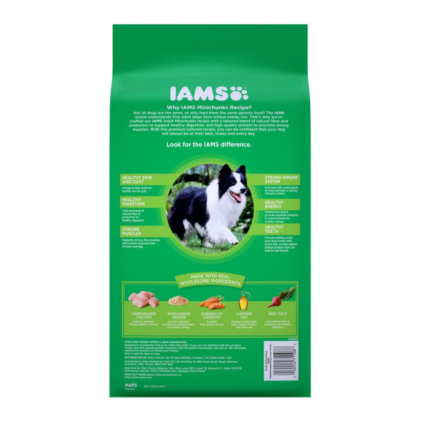 IAMS Minichunks Small Kibble High Protein Adult Dry Dog Food Real Chicken