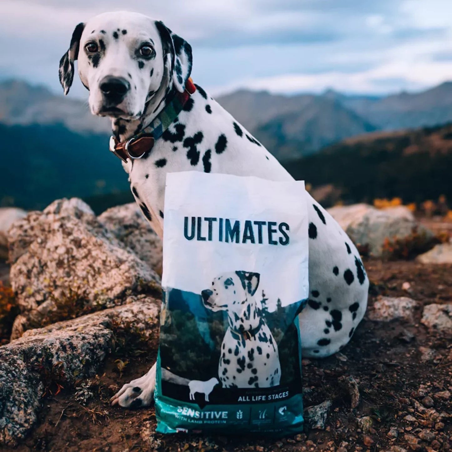 Ultimates Sensitive Dry Dog Food Lamb