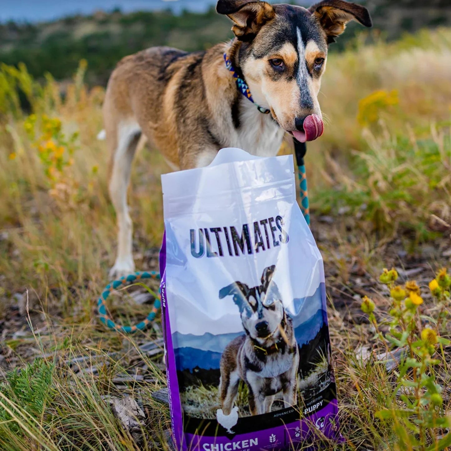 Ultimates Puppy Dry Dog Food Chicken Meal & Rice