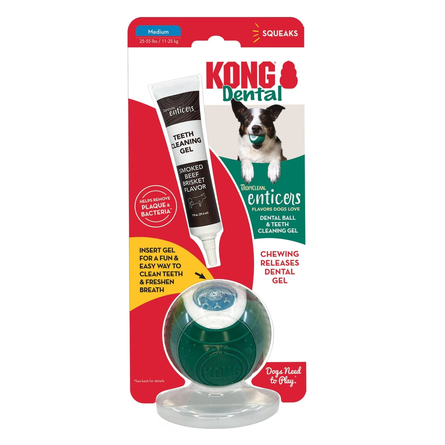 KONG Dental Ball with Tropiclean Enticer Teeth Cleaning Gel Honey Chicken, 1 oz