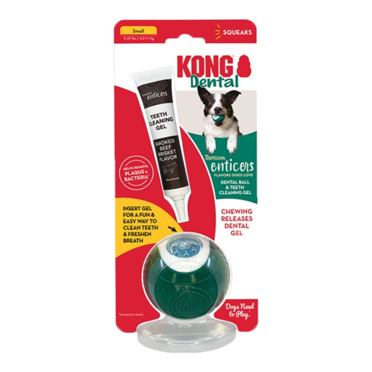 KONG Dental Ball with Tropiclean Enticer Teeth Cleaning Gel Honey Chicken, 1 oz