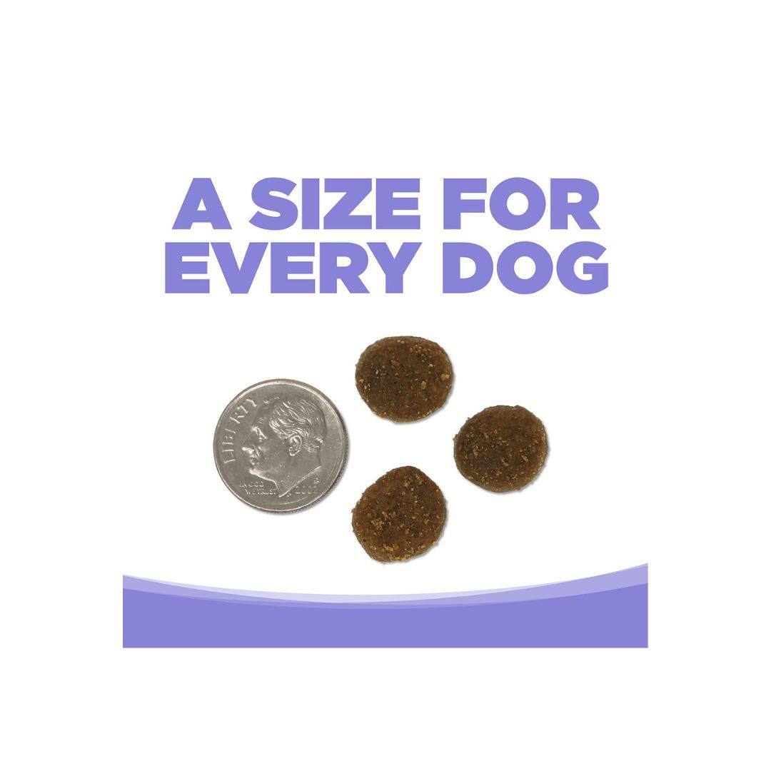 NutriSource Element Series Grain Free Dry Dog Food Upland Stream