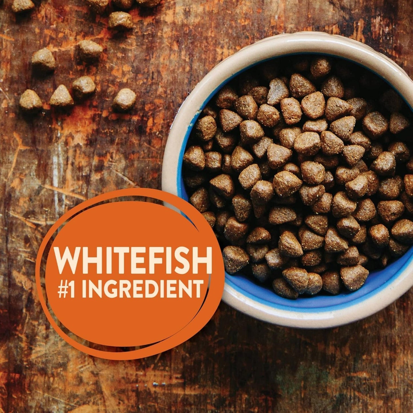 Wellness Dog Core Ocean Recipe Grain Free