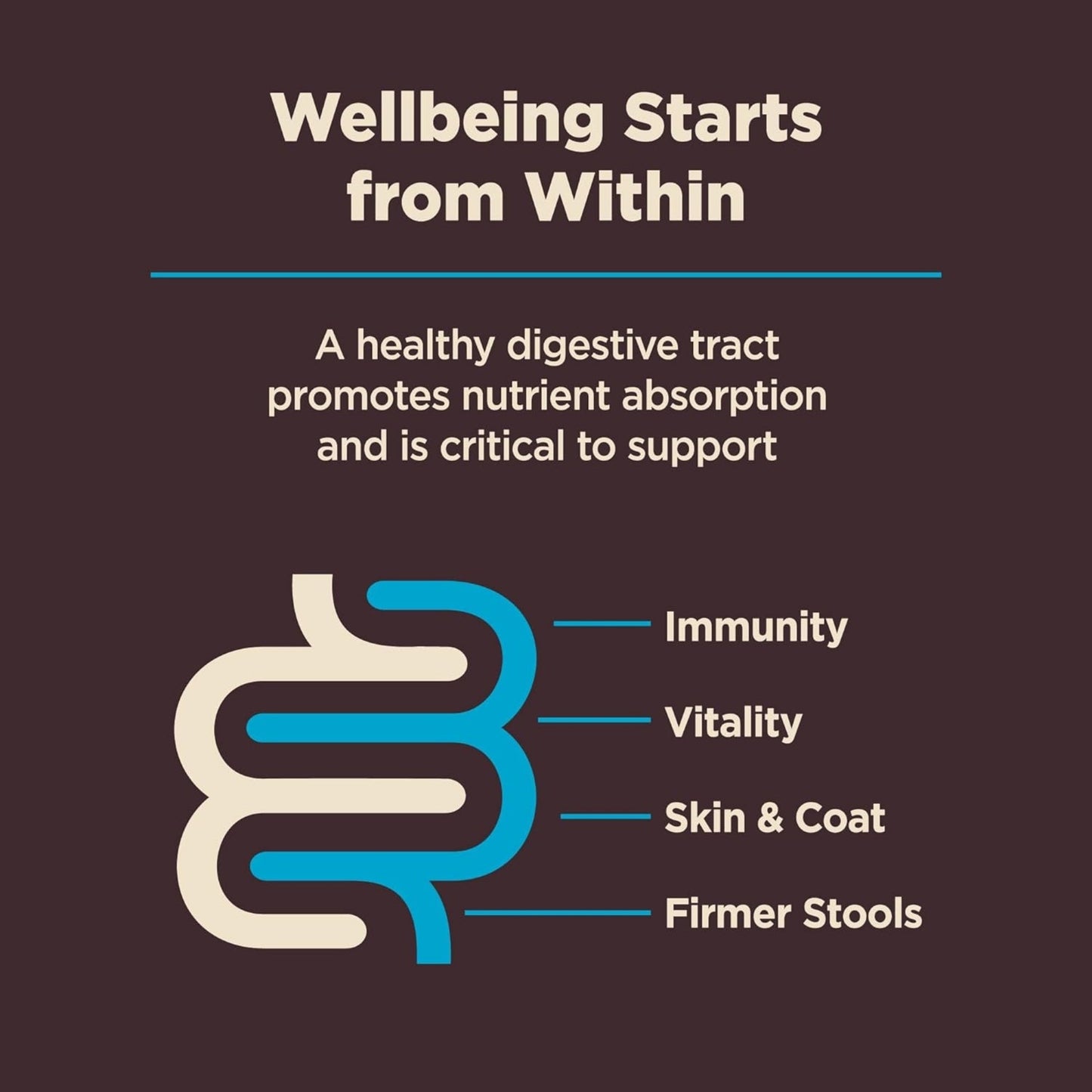 Wellness Dog Core Digestive Health Whitefish Recipe