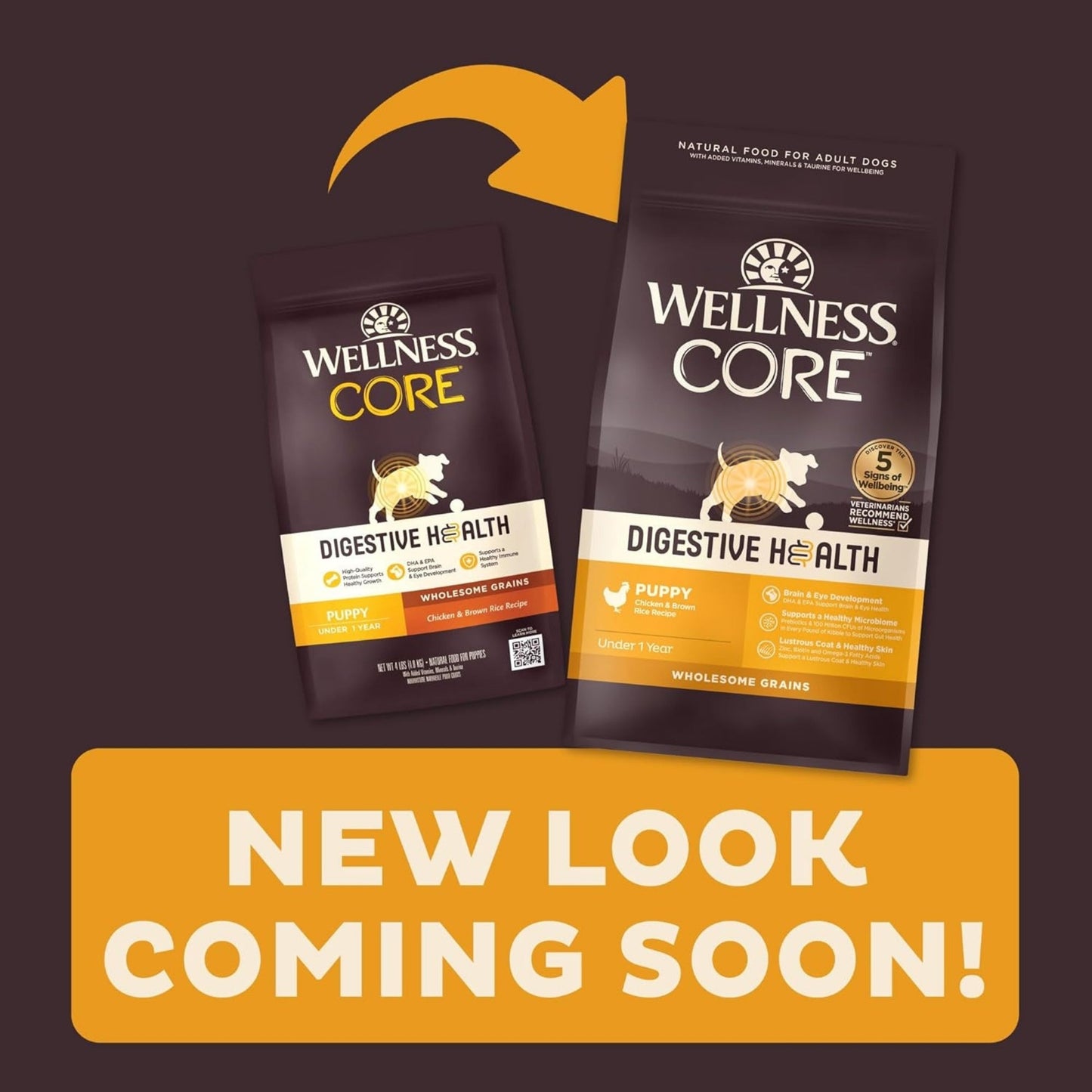 Wellness Core Digestive Health Puppy Chicken Brown Rice