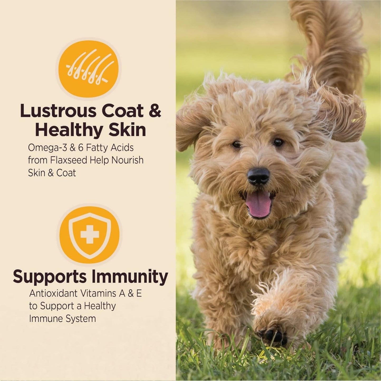 Wellness Core Digestive Health Puppy Chicken Brown Rice
