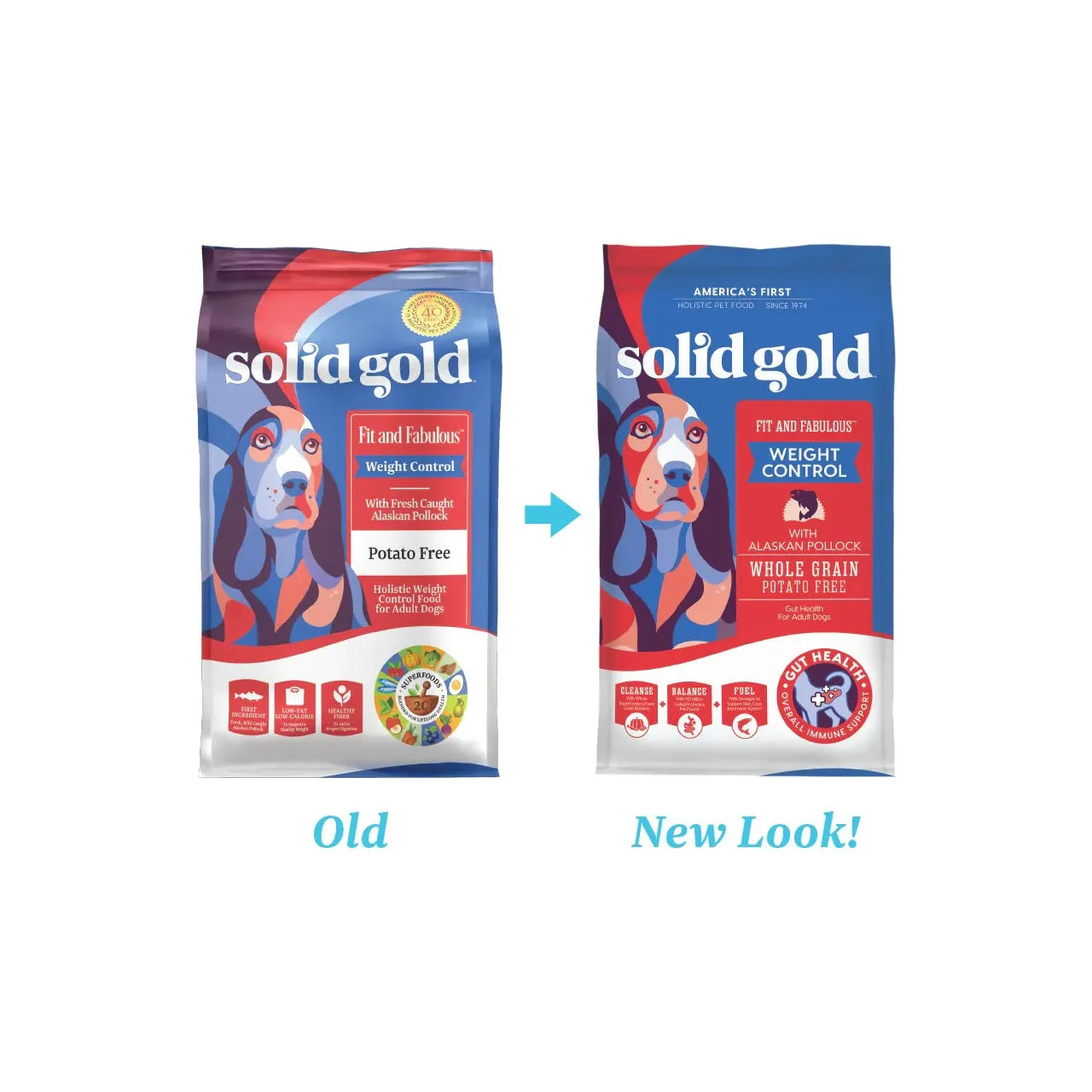 Solid Gold Dog Fit N Fabulous Pollock