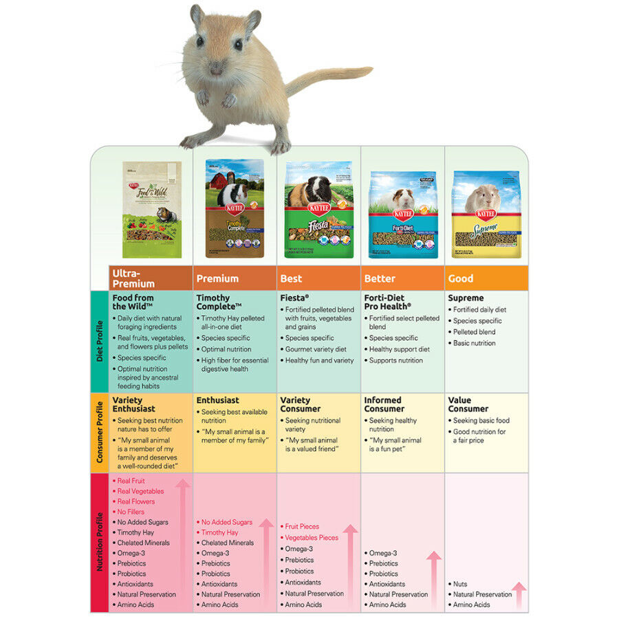 Kaytee Fiesta Mouse Rat Food 1ea/2 lb