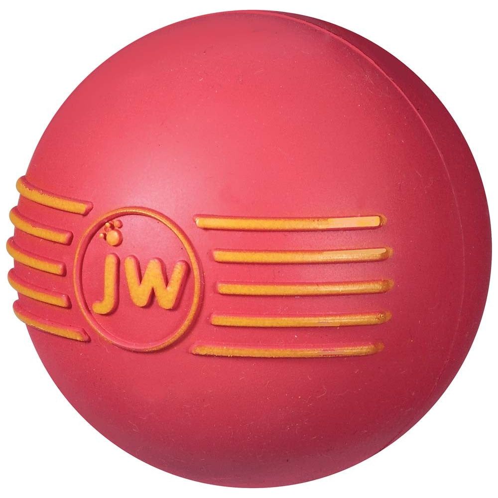 JW Pet iSqueak Ball Dog Toy Assorted