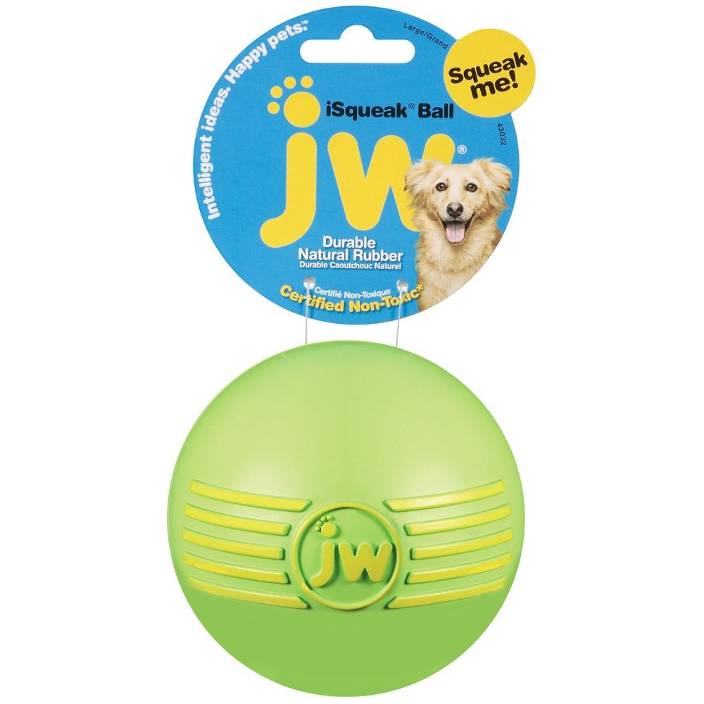 JW Pet iSqueak Ball Dog Toy Assorted