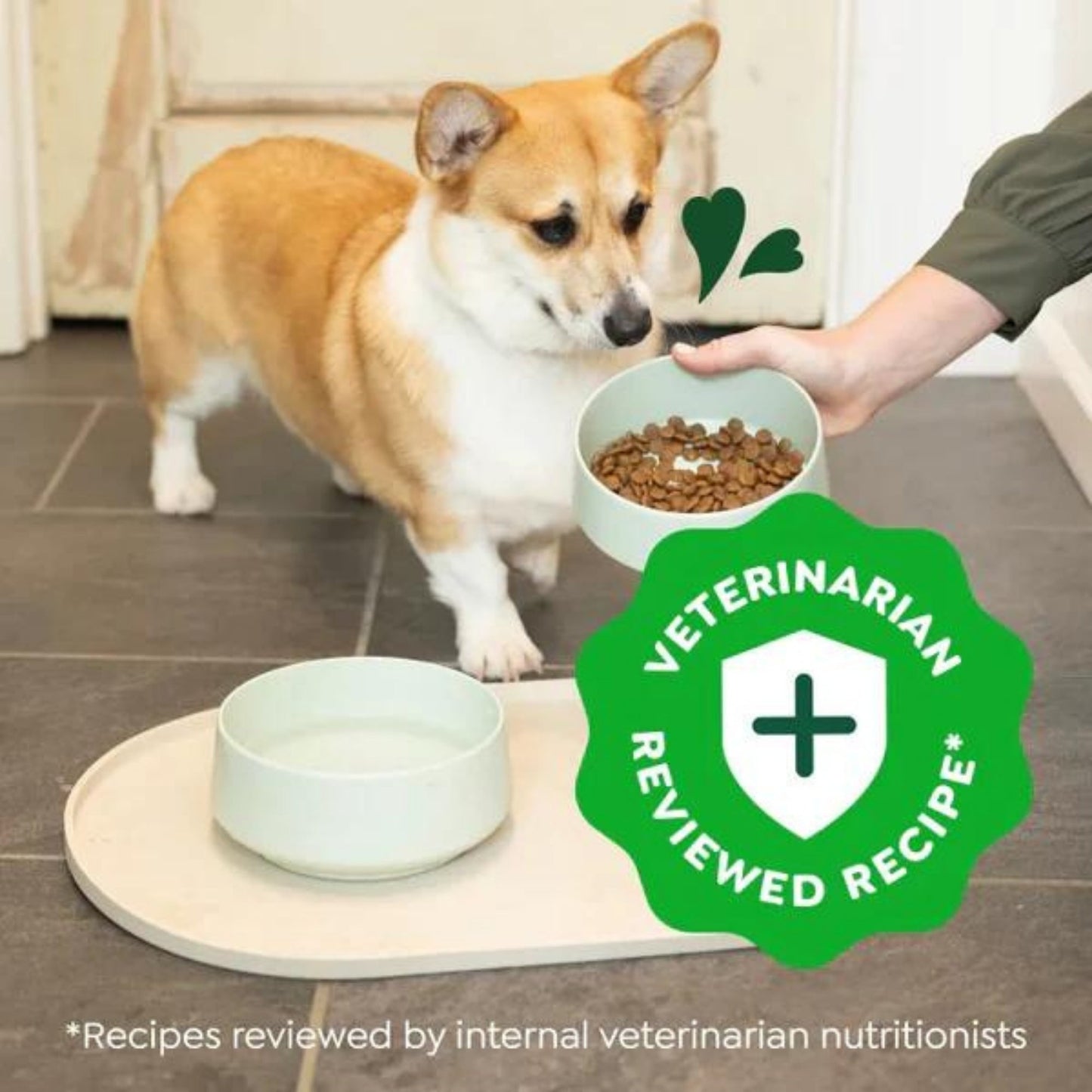 Greenies Smart Essentials Small Breed Dry Dog Food Chicken & Rice
