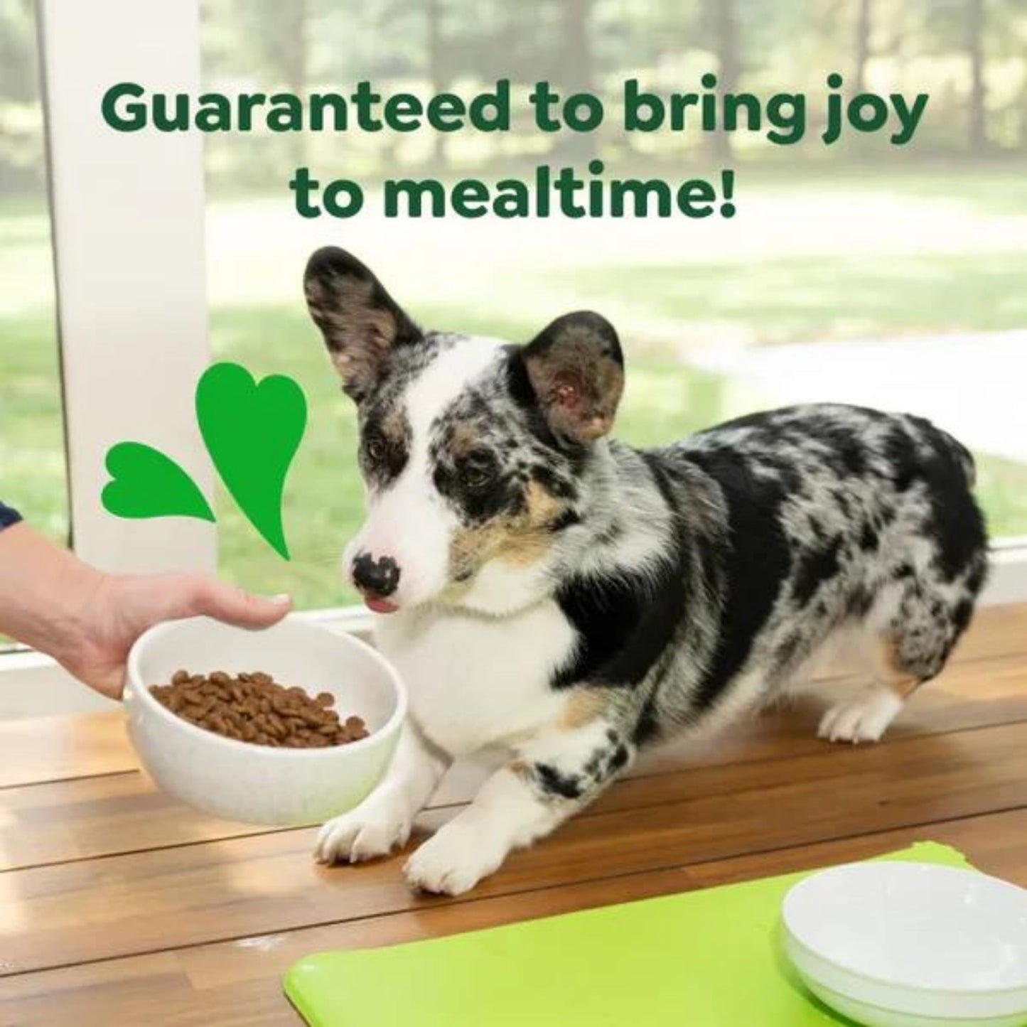 Greenies Smart Essentials Small Breed Dry Dog Food Chicken & Rice