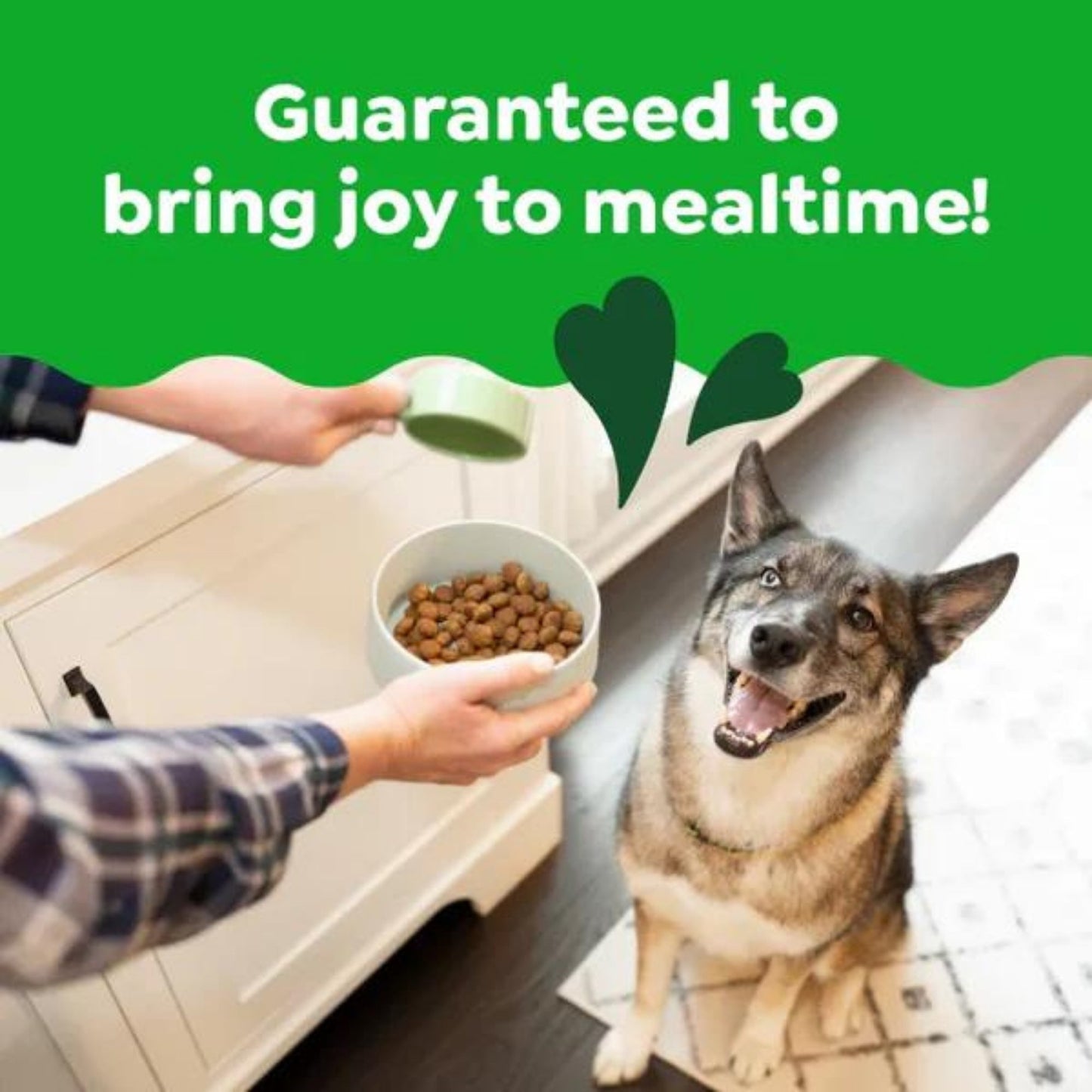 Greenies Smart Essentials Large Breed Dry Dog Food Chicken & Rice Formula