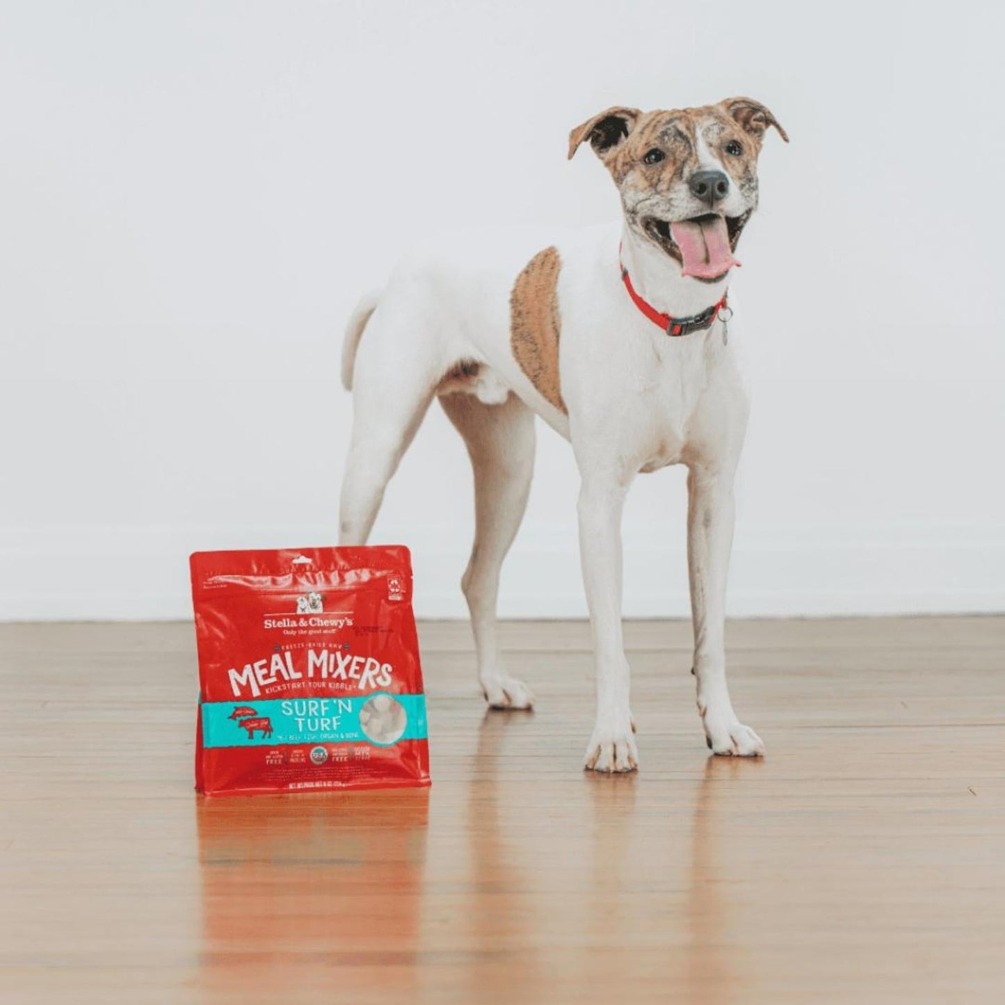 Stella and Chewy's Dog Freeze-Dried Mixer Surf and Turf