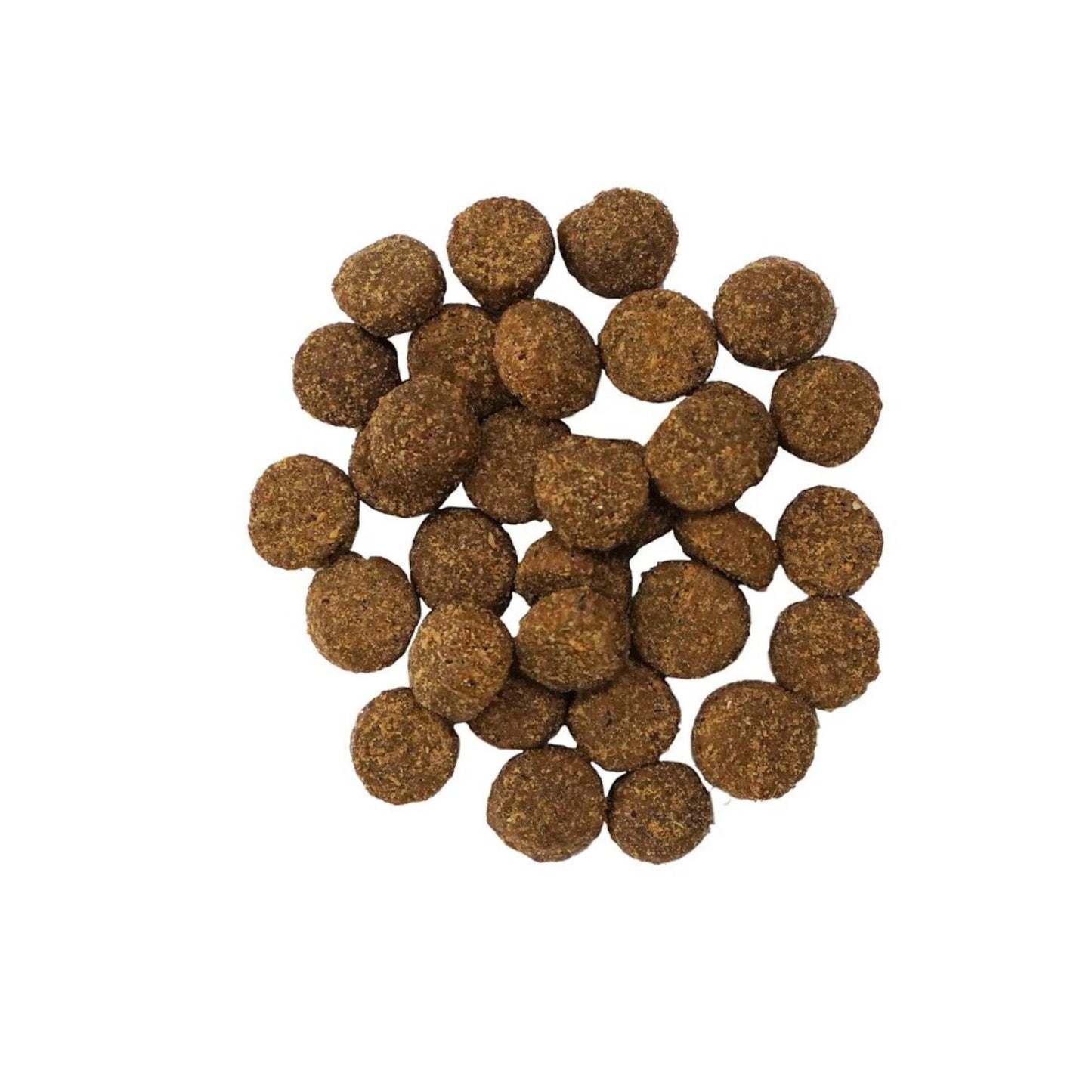 Go! Dog Digestion & Gut Health Salmon Ancient Grain Dog Food