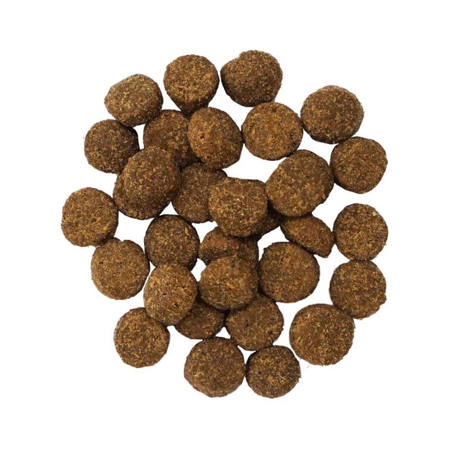 Go! Dog Digestion & Gut Health Salmon Ancient Grain Dog Food