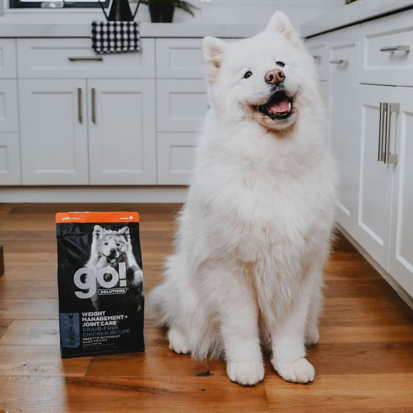 Go! Dog Weight Management & Joint Care Grain Free Dog Food, Various Sizes