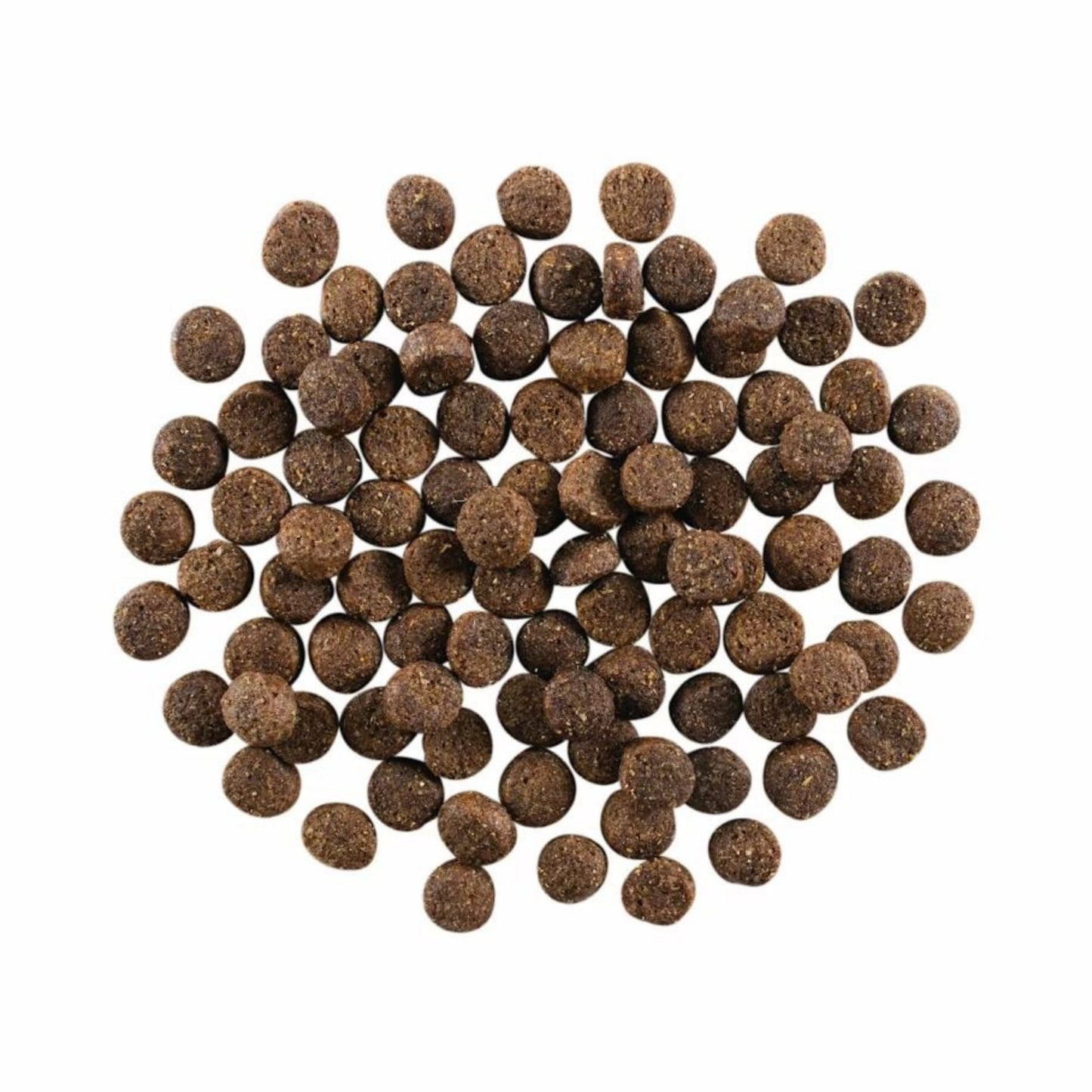 Go! Dog Skin & Coat Care Lamb With Grain Premium Dog Food for Healthy Skin and Coat