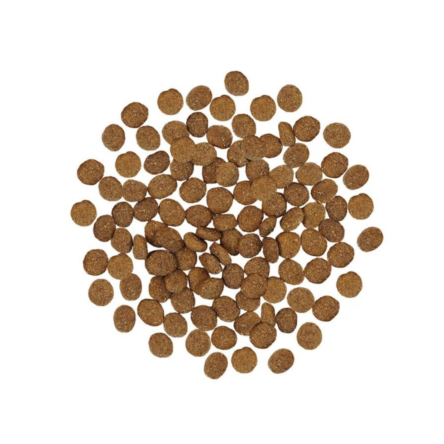 Go! Dog Skin & Coat Care Turkey With Grain Premium Dog Food for Healthy Coat and Skin