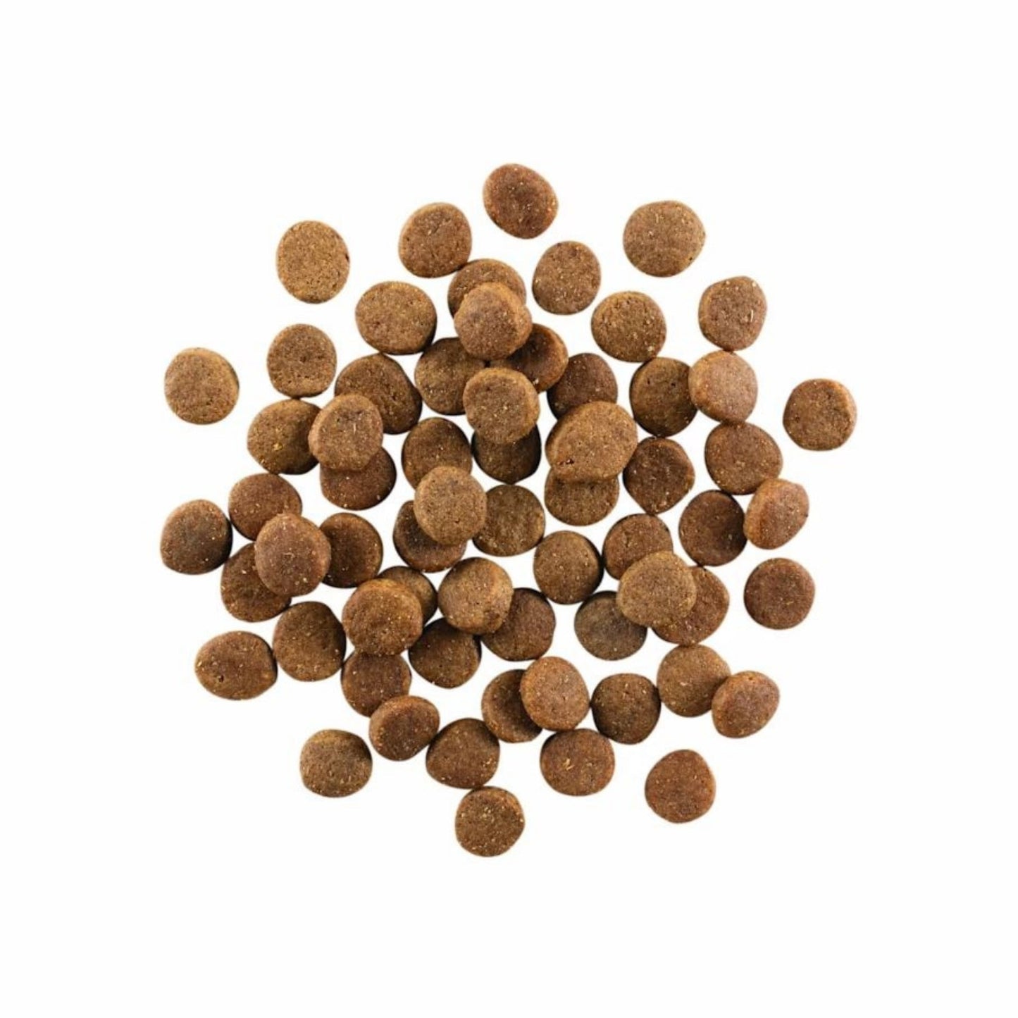 Go! Dog Carnivore Grain Free Puppy Chicken, Turkey & Duck Dog Food