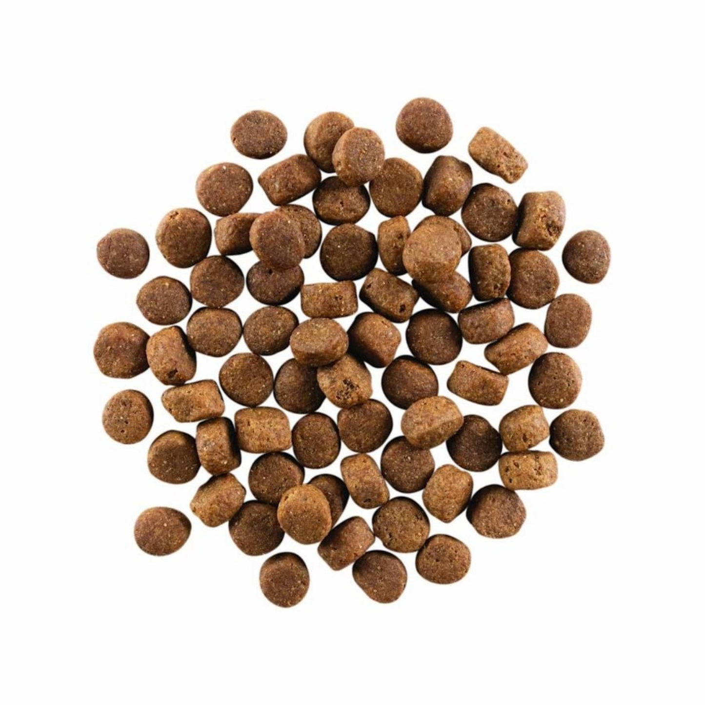Go! Dog Carnivore Grain Free Senior Chicken, Turkey & Duck Dog Food