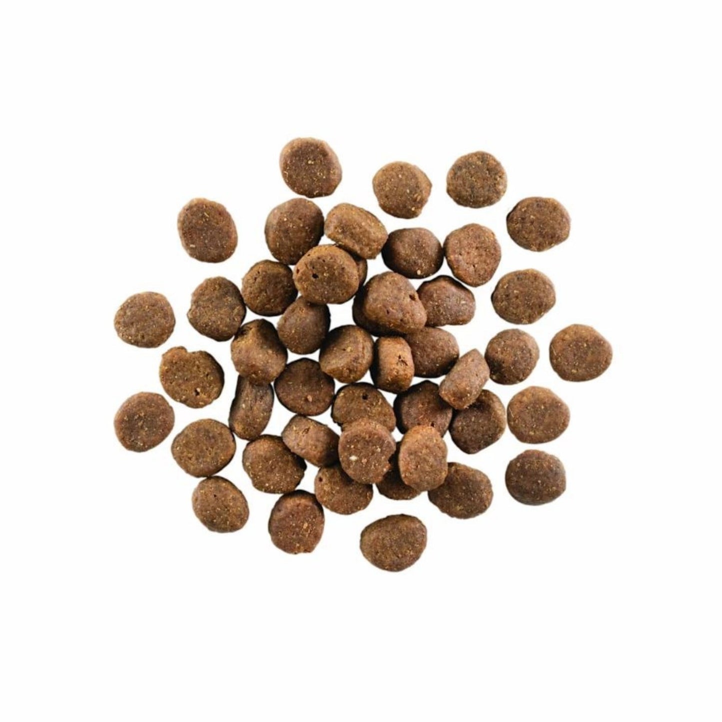 Go! Dog Carnivore Grain Free Lamb & Boar Dry Dog Food
