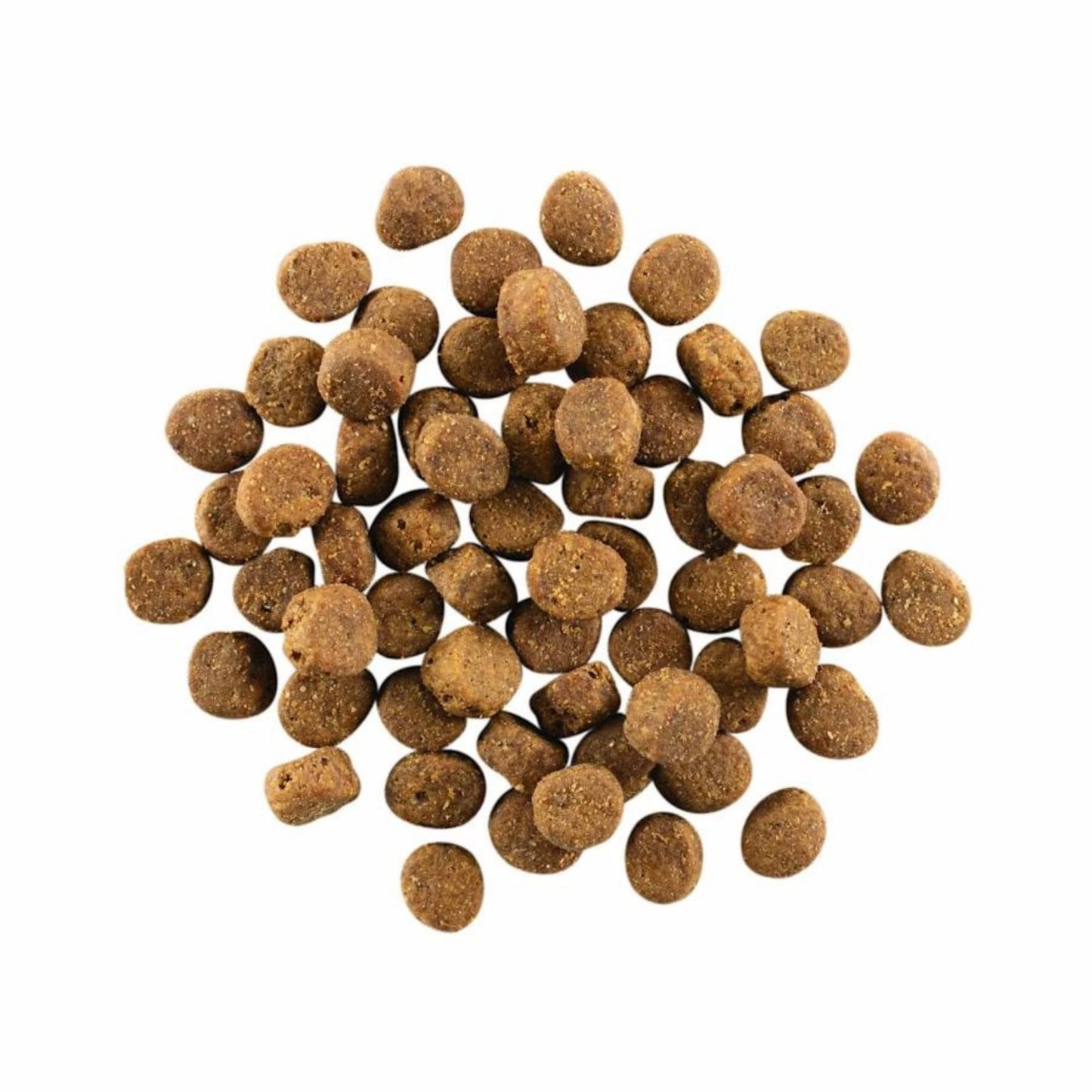 Go! Dog Carnivore Grain Free Salmon & COD Dry Dog Food for Adult Dogs