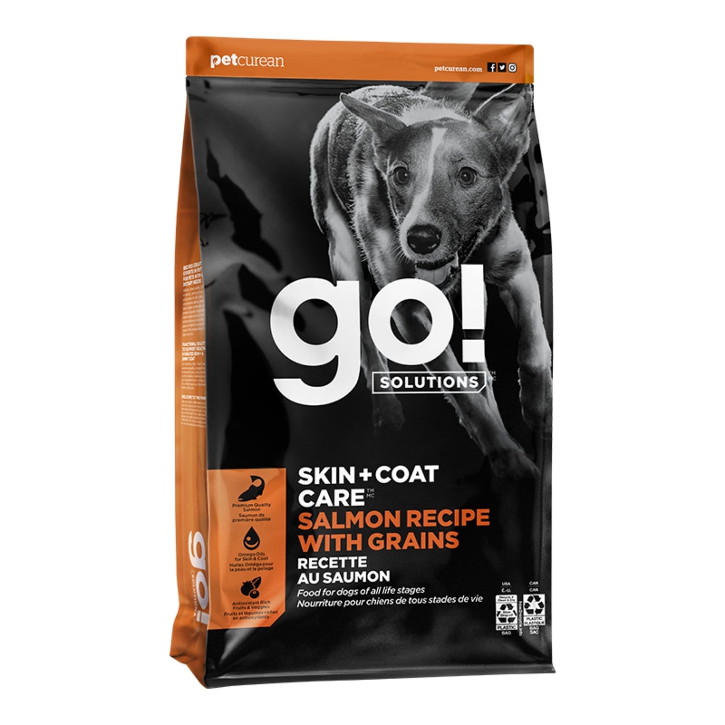 Go! Dog Skin & Coat Care Salmon With Grain Premium Dog Food for Healthy Coat and Skin