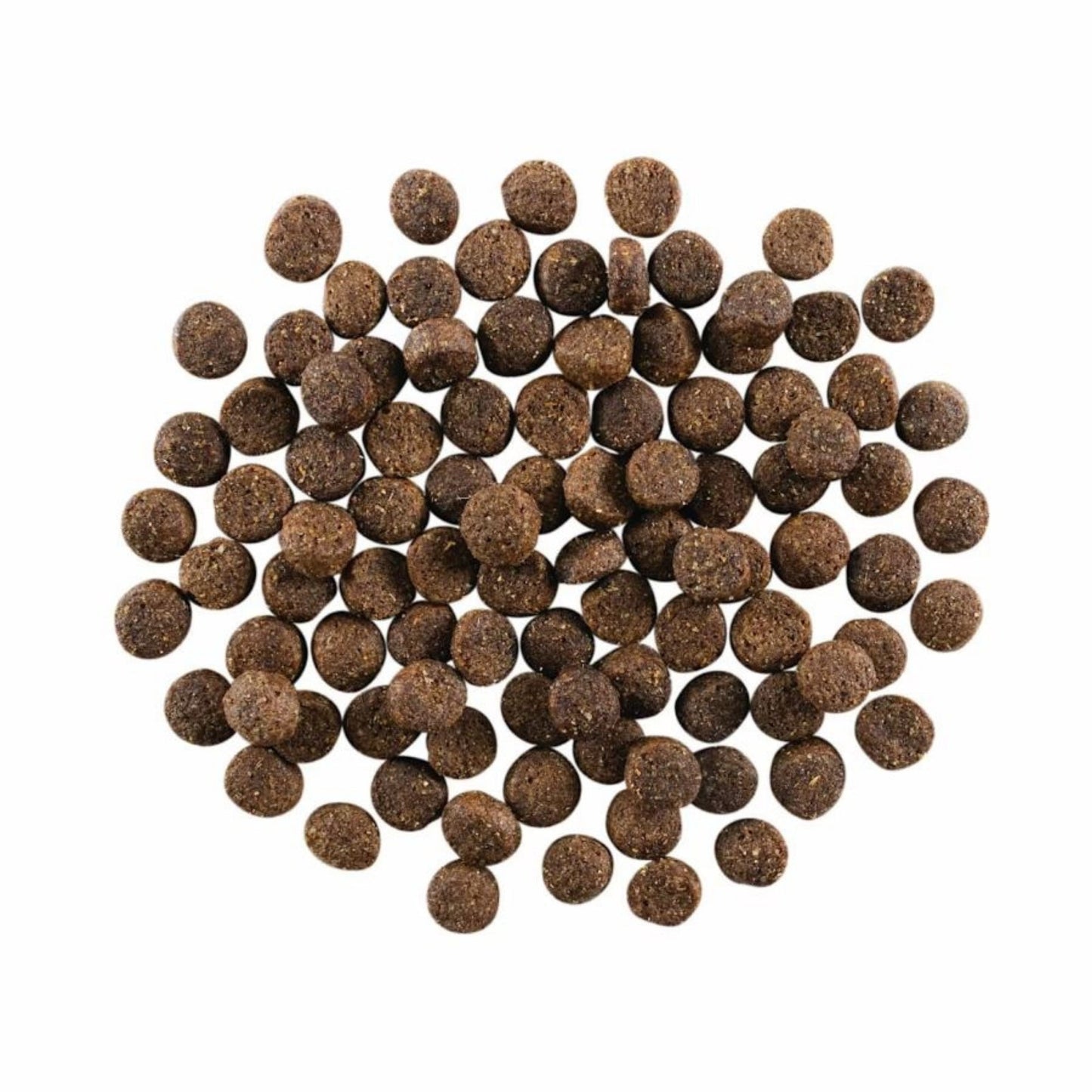 Go! Dog Skin & Coat Care Lamb With Grain Premium Dog Food for Healthy Skin and Coat