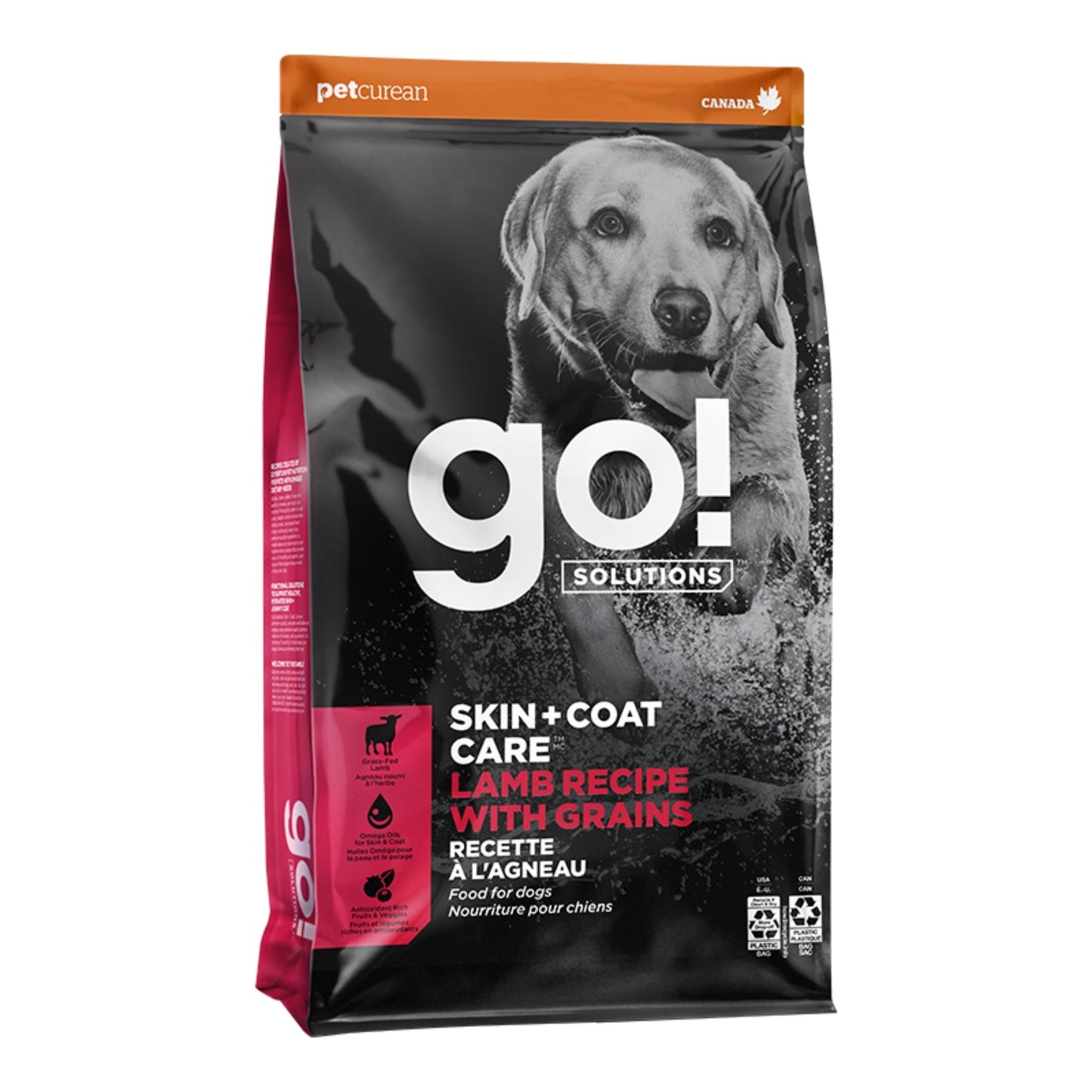 Go! Dog Skin & Coat Care Lamb With Grain Premium Dog Food for Healthy Skin and Coat