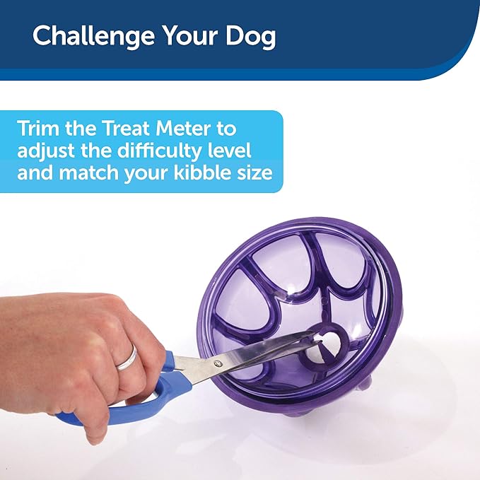 Busy Buddy Kibble Nibble Feeder Ball – The Ultimate Snack Time Toy