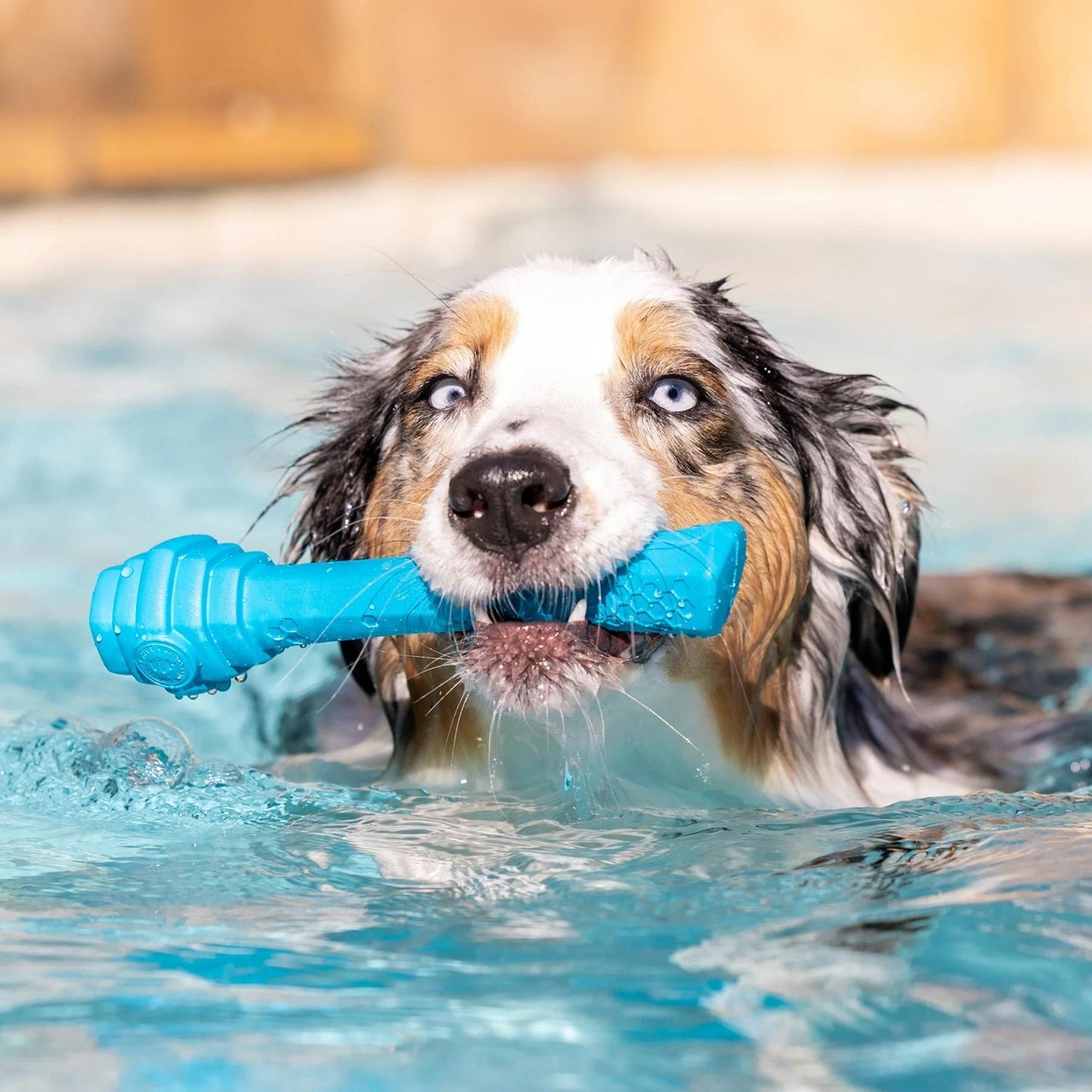 Project Hive Fetch Stick Scented Medium Dog Toy with Natural Aromas for Active Play