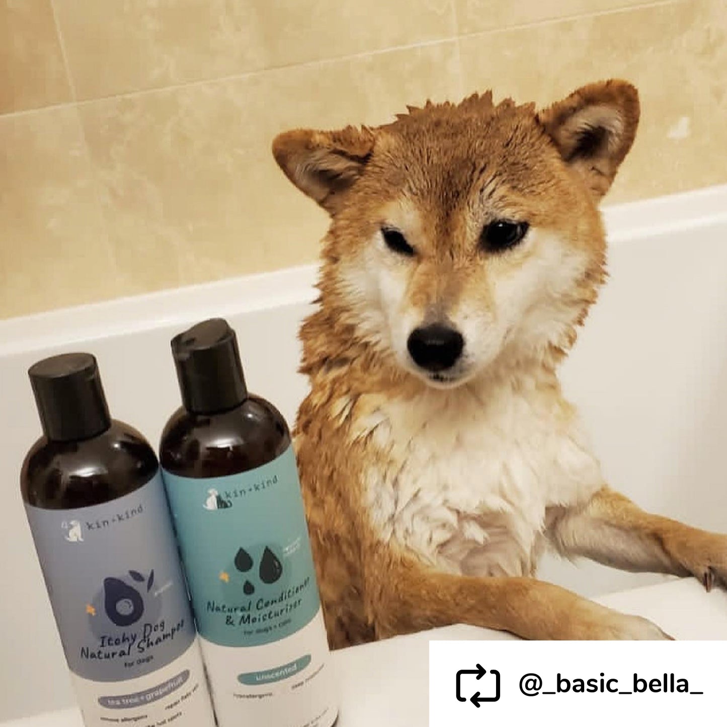 Kin+Kid Shampoo Itchy Dog 12oz. Teatree/Grapefruit