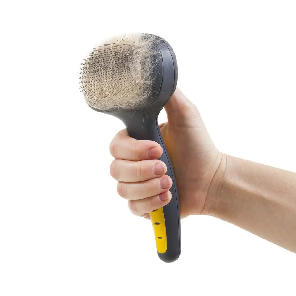 Brushes and Combs