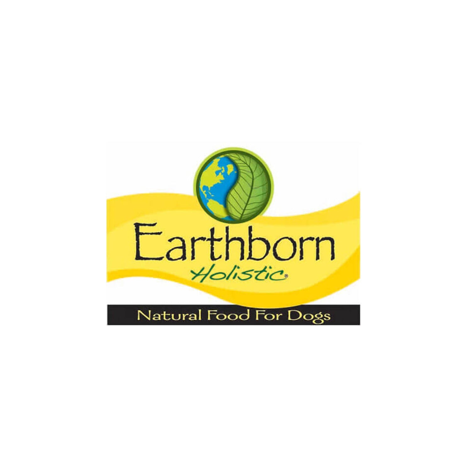 Earthborn Holistic Dry Food