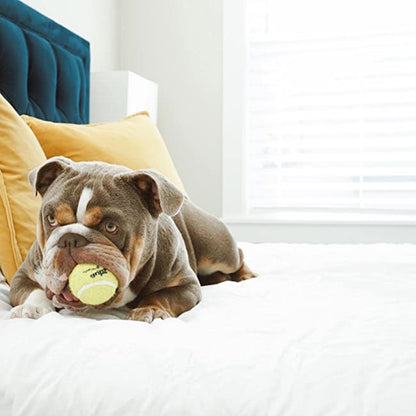 Nylabone Power Play Dog Tennis Ball Gripz 1ea for Small to Giant Dogs Up to 50 lbs