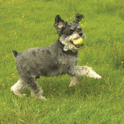Nylabone Power Play Dog Tennis Ball Gripz 1ea for Small to Giant Dogs Up to 50 lbs