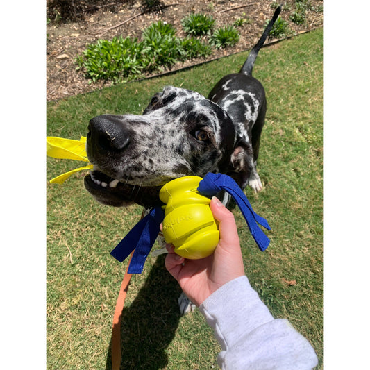 Nylabone Power Play Fling-a-Bounce Interactive Dog Toy for Medium to Giant Dogs