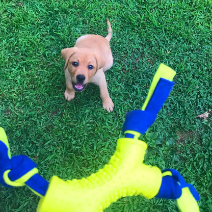 Nylabone Power Play Interactive Dog Toy Shake-a-Toss for Dogs Up to 50 lbs