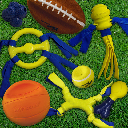 Nylabone Power Play Interactive Dog Toy Shake-a-Toss for Dogs Up to 50 lbs