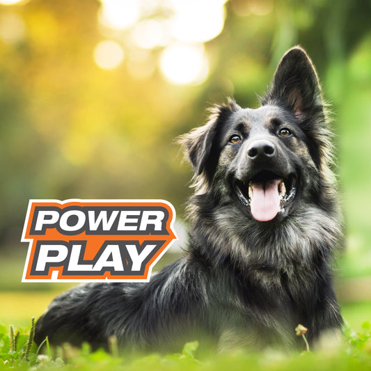 Nylabone Power Play Interactive Dog Toy Shake-a-Toss for Dogs Up to 50 lbs