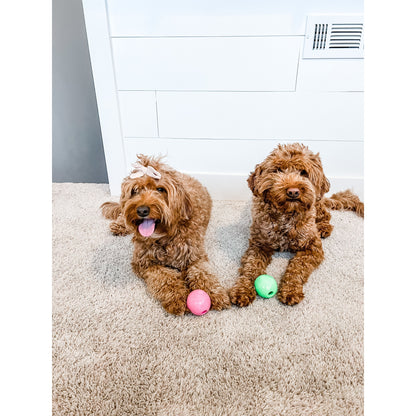 Nylabone Power Play Gum-a-Ball Toy for Dogs 1ea