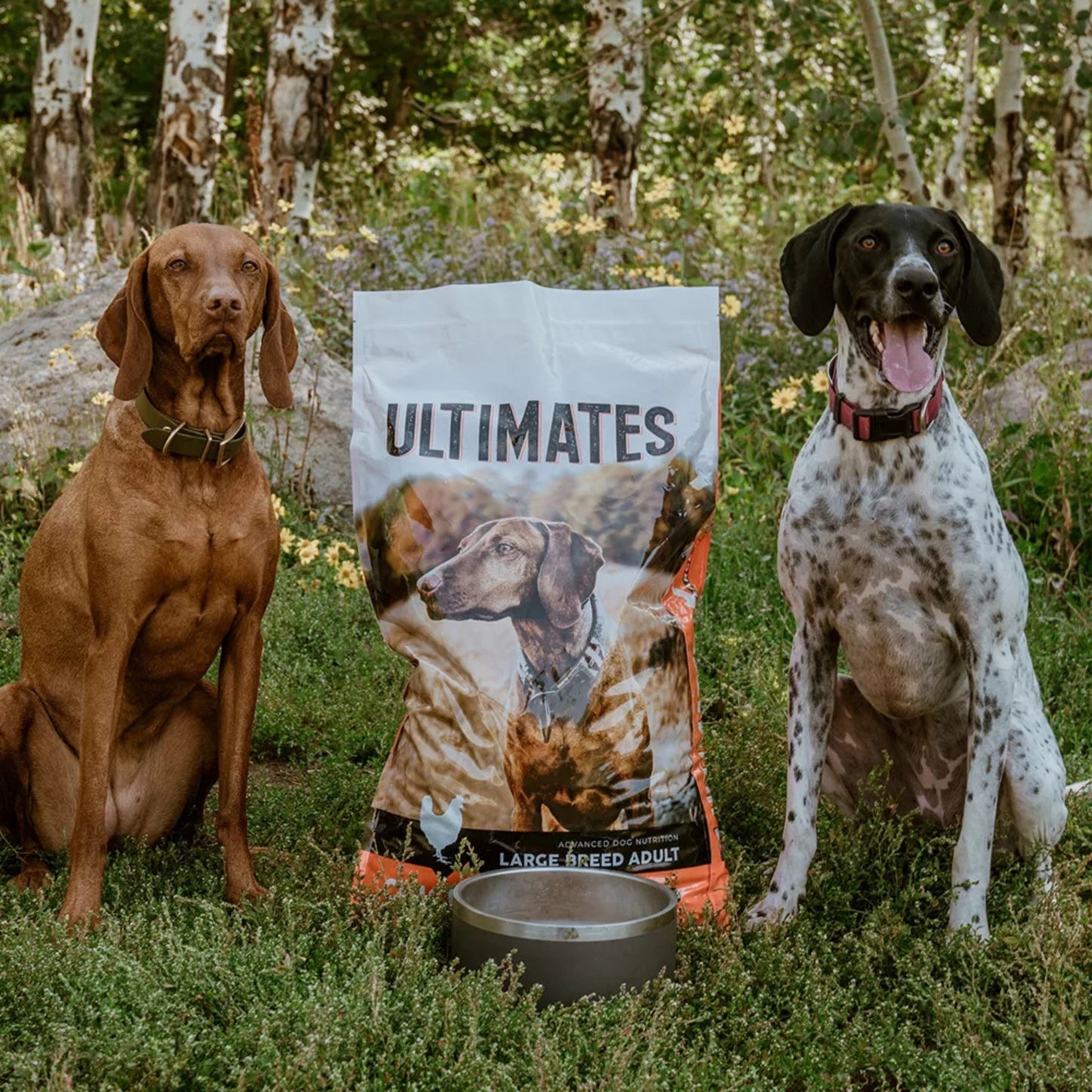 Ultimates Large Breed Dry Dog Food Chicken Meal & Rice