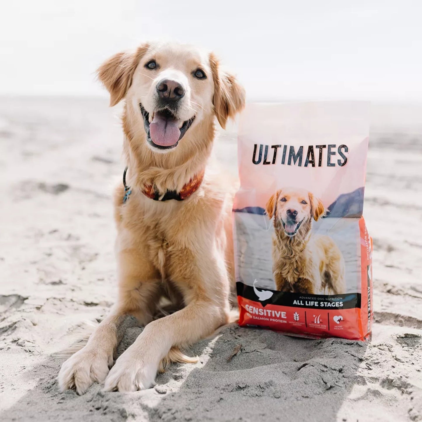 Ultimates Sensitive Dry Dog Food Salmon